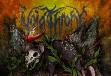 Voidthrone – Dreaming Rat Voidthrone - Dreaming Rat - cover Artwork