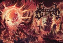 Cranial Osteotomy – Vortex Of The Dark Knowledge
