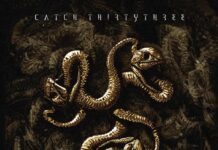 Meshuggah – Catch Thirtythree: 20th Anniversary Edition Meshuggah - Catch Thirtythree - cover Artwork
