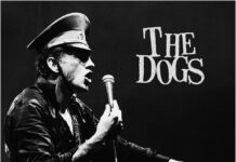 The Dogs – Politics Find You
