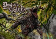 Destroy My Brains – WILT
