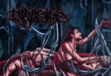 Divulsive – Spawned In Viscera Divulsive - Spawned In Viscera - cover Artwork