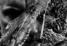 Taake – En Skog av Nidstang